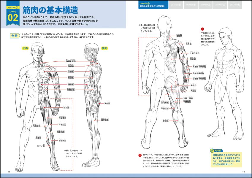 楽天ブックス 筋肉の描き方 基本レッスン 構造と動きを学んで上達 頼兼和男 本